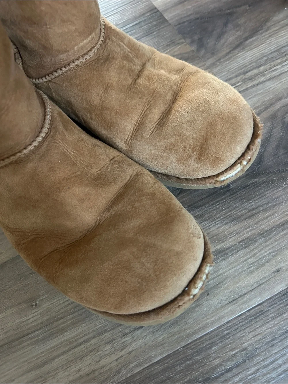 UGG Women's Classic Tall Suede Boots in Chestnut